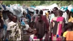 Majalisar Dinkin Duniya Ta Dauki Matakan Hana Cusa Wa Matasa Akidar Tsageranci