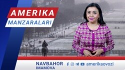 Amerika Manzaralari: 47-prezident, Grenlandiya, gripp 