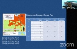 Data Jumlah Buaya di Sungai Palu, yang disampaikan oleh DR. Ir. Fadly Y. Tantu, akademisi dari Universitas Tadulako. Rabu (23/11/2020), dalam tangkapan layar.