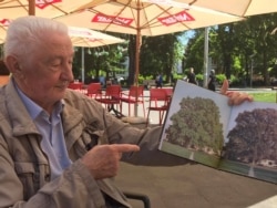 Tihomir Levajac, penzionisani profesor banjalučke Gimnazije pokazuje kako je nekad izgledao Stari hrast, 12.6.2021., Banja Luka