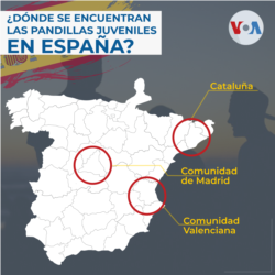 Principales pandillas juveniles en España.