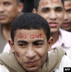 Qohira, 1 fevral 2011