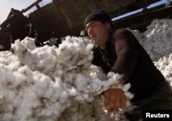 FILE - An Uzbek worker pushes raw cotton at the Chinaz ginnery, 70 km (44 miles) southwest of the capital, Tashkent, Sept. 30, 2003.