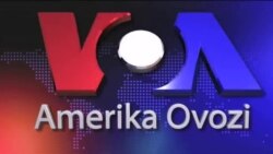 Rossiya NATO birligini sinamoqdami?