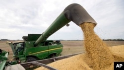 美国印第安纳州农场主麦克·斯塔基（Mike Starkey）在用联合收割机收割大豆。（AP 资料照， 2018年9月21日）