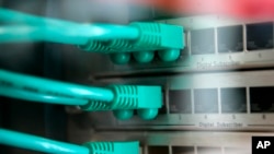 This photo shows network cables connected to a server at a computer company in Hanover, northern Germany.