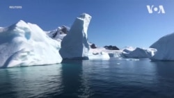 Пластикові відходи є навіть у водах Антарктиди - дослідження Ґрінпіс. Відео