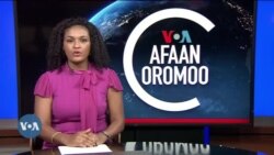 Tamsaasa Guyaadhaa Guyyaa