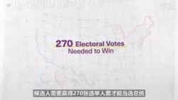 宾夕法尼亚州：可能决定大选结果的州