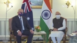 美澳日印四國領導人星期五華盛頓會面