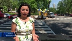 Insonparvar bizneslar