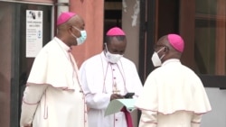 Les évêques de la RDC parlent d'écologie à Kinshasa