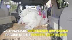 Індики, яких помилує Трамп, прибули до Вашингтона та оселилися в готелі. Відео