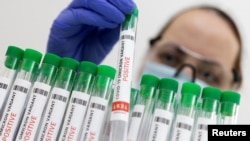 Illustration shows test tubes labelled "COVID-19 Omicron variant test positive\