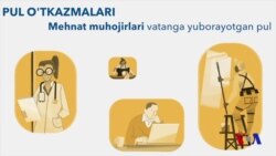 Pul o'tkazmalari va muhojirlar