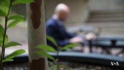 Grammar-Proofing Startup by Ukrainian Techies Helps Foreign Students