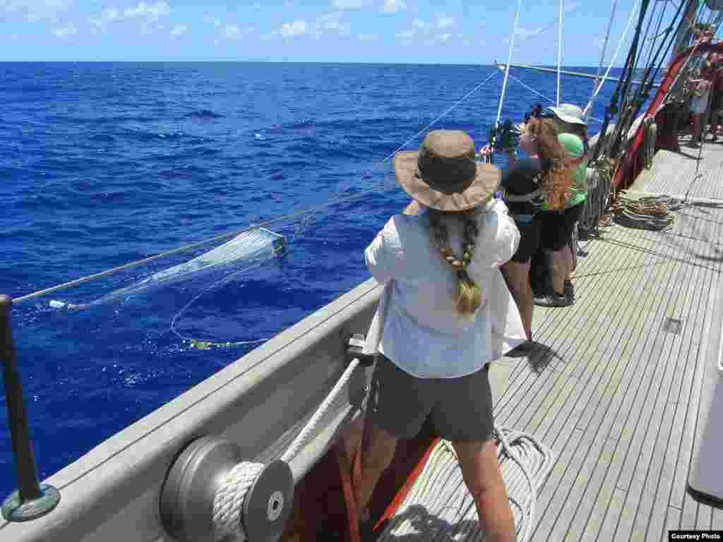 SEA Semester Chief Mate Rocky Hadler tows a net aboard the Crowith Cramer. (Credit: E. Zettler, SEA Education Association)