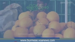 ကိန်းဂဏန်း အချက်အလက် ကွဲလွဲနေတဲ့ မြန်မာ့စိုက်ပျိုးထုတ်ကုန် ပမာဏ 