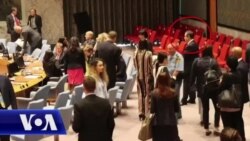 Rasprava Vljore Čitaku i Ivice Dačića u Savetu bezbednosti UN