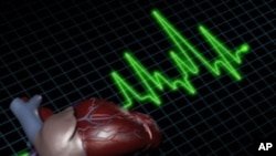 Study Links Mutations to APOC3 Gene with Dramatically Lower Risk for Heart Attack