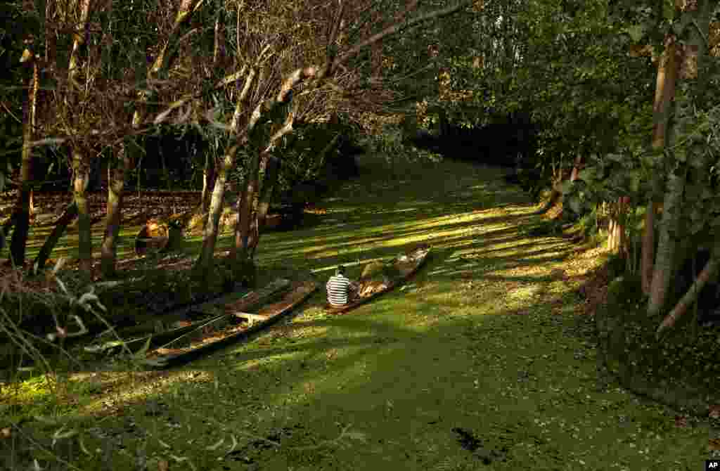 A fisherman rides a boat on a polluted water body in the outskirts of Srinagar, Indian-controlled Kashmir.