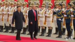 感恩节之际白宫记者感谢新闻自由