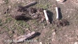 Sinjardagi ommaviy qabr