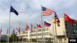 سازمان پیمان آتلانتیک شمالی، ناتو (آرشیو)