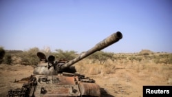 FILE PHOTO: The Wider Image: New front in Ethiopian war displaces thousands, hits hopes of peace talks