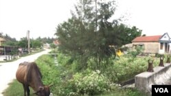 ខណៈ​ពេល​ដែល​វៀតណាម​ព្យាយាម​កាត់​បន្ថយ​ភាពក្រីក្រ តំបន់​ជនបទ​ក្នុង​ប្រទេស​វៀតណាម​នៅ​តែ​ជា​ប្រភព​ចម្បង​មួយ​នៃ​ការ​ជួយ​ដូរ​មនុស្ស។