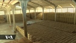 Maendeleo ya shughuli za kuhakiki miundombinu ya korosho