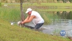 Мешканець Флориди врятував з пащі алігатора свого собаку і став героєм ЗМІ та соцмереж. Відео