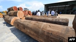 Quelques personnes visitent la Société Nationale des Bois du Gabon (SNBG) à Owendo, port de Libreville le 11 octobre 2012. 