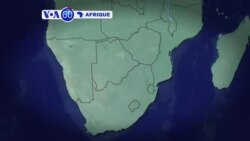 voa60-bambara-juillet-kalo-tile-10-18