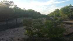 Le yiwaya yomngcele oyehlukanisa eleZimbabwe leleBotswana duzane ledamu leMabhongane.