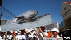 A group holds a rally to raise awareness about Irrawaddy Dolphin, fresh water dolphin in Mekong River.