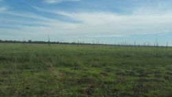 Ngensuku zalo idamu leMabhongane lalilikhulu amanzi egcwele endaweni engama-kilometer angu9.