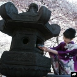 Olchalar yapon xalqidan sovg'a