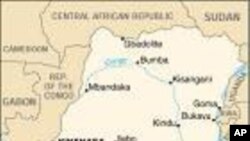 RDC : bientôt la construction d’un barrage hydroélectrique