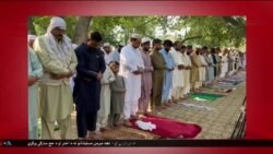 د ډیوه د روانو چارو خپرونه په ټي وي
