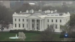 Тимчасова заборона на в'їзд до США громадянам семи країн: протести та реакції. Відео