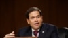 Marco rubio, senador republicano por Florida, participa en una audiencia del Comité de Inteligencia de la Cámara Alta. [Foto de archivo]