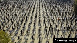 Afg'onistonda universitetga kirish imtihonlari topshirish uchun yig'ilgan yoshlar 