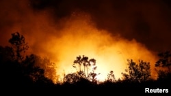 FILE - Trees and peatland are pictured during a fire in Palangka Raya, Central Kalimantan province, Indonesia, September 17, 2019. (REUTERS/Willy Kurniawan)