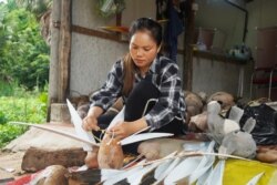 អ្នកស្រី​ ឆន ចំរើន​ អង្គុយធ្វើរូបសត្វ​ពី​ផ្លែដូង​ស្តរ​។ រូប​សត្វ​មួយ​ អ្នកស្រី​អាច​លក់បាន​ក្នុងតម្លៃ​ប្រមាណ​ ១ម៉ឺន​រៀល​ ទៅ​១ម៉ឺន៥ពាន់​រៀល នៅ​ភូមិគោក​គ្រើល​ ឃុំ​លាង​ដៃ​ ស្រុកអង្គរ​ធំ​ ខេត្ត​សៀមរាប នៅ​ថ្ងៃទី ២២ ខែ​កក្កដា​ ឆ្នាំ​២០២០។​ (ខាន់​ សុគុំមនោ​/វីអូអេ)