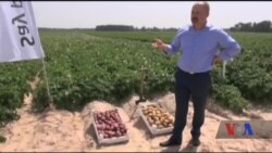 "Лідерство в економічному врядуванні" сприяє лібералізації зовнішньоекономічної діяльності в Україні. Відео.