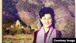 前中共中央黨校教授蔡霞 (資料照片)