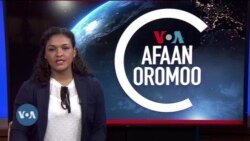 Tamsaasa Guyaadhaa Guyyaa