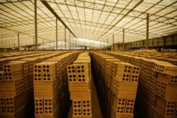 គំនរឥដ្ឋមិនទាន់ដុត ក្នុងបរិវេណសិប្បកម្មឡឥដ្ឋ ឃុំព្រែកអញ្ចាញ ស្រុកមុខកំពូល ខេត្តកណ្តាល កាលពីថ្ងៃទី១៥ ខែតុលា ឆ្នាំ២០២១។ (កាន់ វិច្ឆិកា/វីអូអេ)