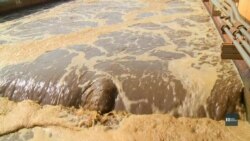 Як з брудної води отримати електроенергію та добрива – приклад очисної станції американської столиці. Відео